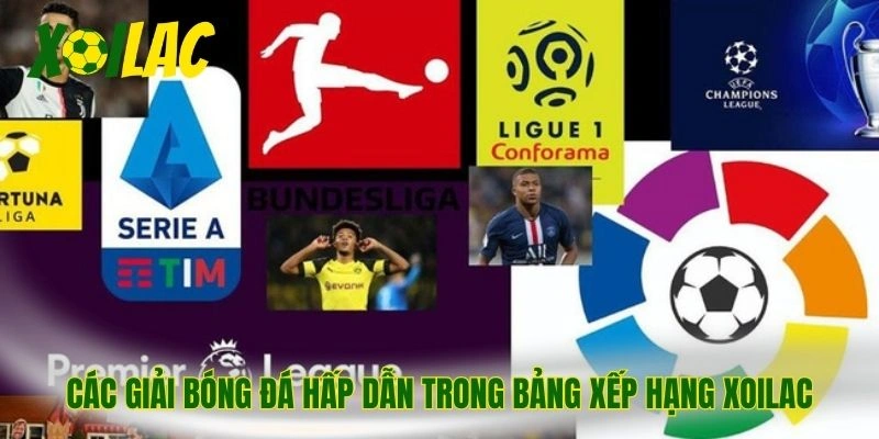 Các giải bóng đá hấp dẫn trong bảng xếp hạng Xoilac