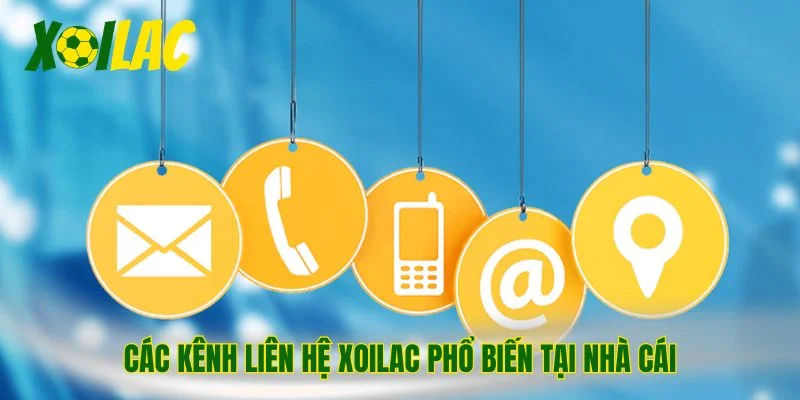 Các kênh liên hệ Xoilac phổ biến tại nhà cái