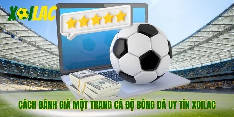 Cách đánh giá một trang cá độ bóng đá uy tín Xoilac