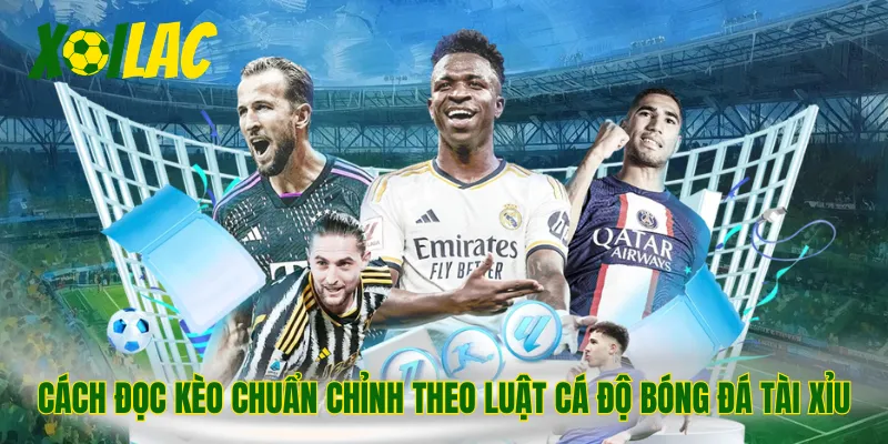 Cách đọc kèo chuẩn chỉnh theo luật cá độ bóng đá tài xỉu