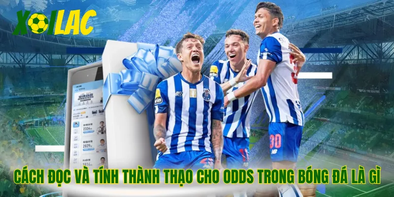 Cách đọc và tính thành thạo cho odds trong bóng đá là gì