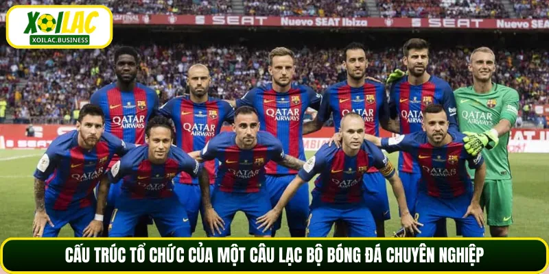 Cấu trúc tổ chức của một câu lạc bộ bóng đá chuyên nghiệp