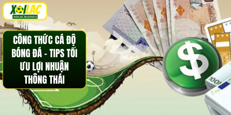Công Thức Cá Độ Bóng Đá - Tips Tối Ưu Lợi Nhuận Thông Thái