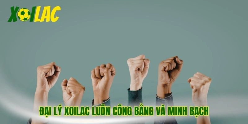 Đại lý Xoilac luôn công bằng và minh bạch