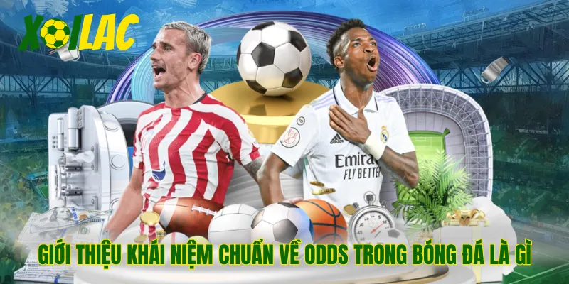 Giới thiệu khái niệm chuẩn về odds trong bóng đá là gì