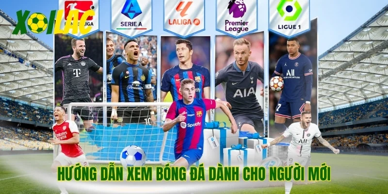 Hướng dẫn xem bóng đá dành cho người mới