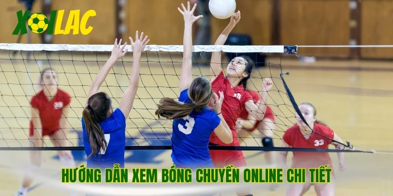 Hướng dẫn xem bóng chuyền online chi tiết