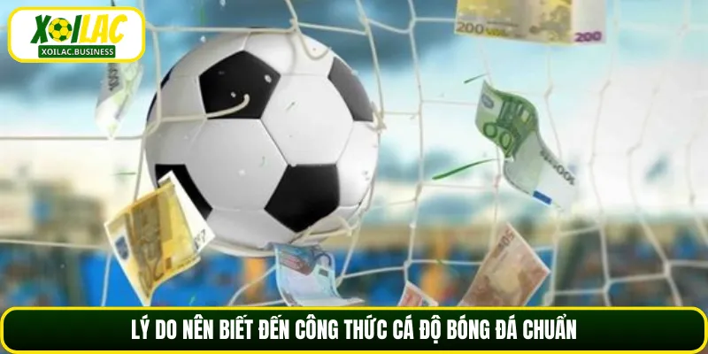 Lý do nên biết đến công thức cá độ bóng đá chuẩn