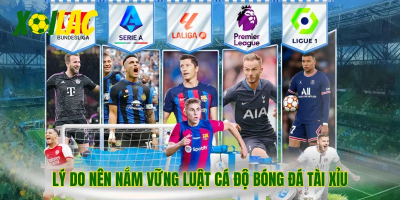 Lý do nên nắm vững luật cá độ bóng đá tài xỉu