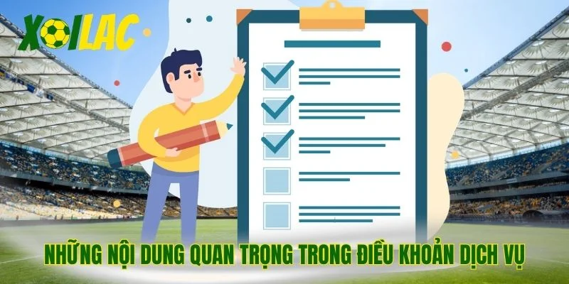 Những nội dung quan trọng trong điều khoản dịch vụ