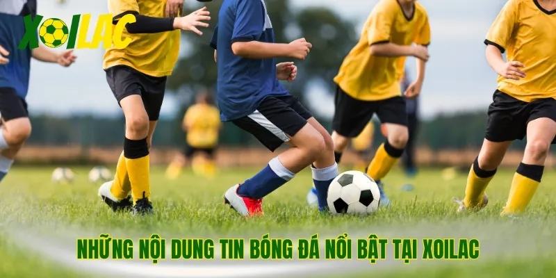Những nội dung tin bóng đá nổi bật tại Xoilac