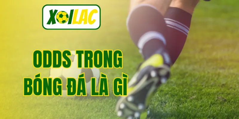 Odds Trong Bóng Đá Là Gì - Tips Chốt Kèo Thu Lời Cực Khủng