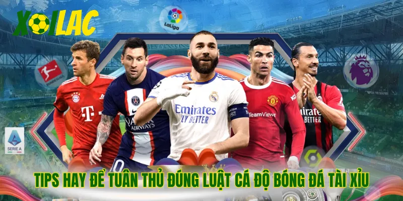 Tips hay để tuân thủ đúng luật cá độ bóng đá tài xỉu