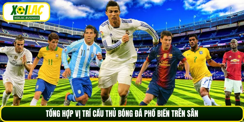 Tổng hợp vị trí cầu thủ bóng đá phổ biến trên sân