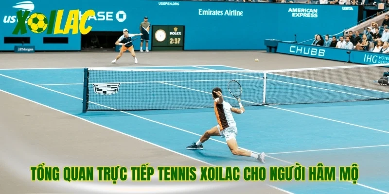 Tổng quan trực tiếp tennis Xoilac cho người hâm mộ