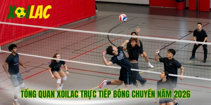 Tổng quan Xoilac trực tiếp bóng chuyền năm 2026