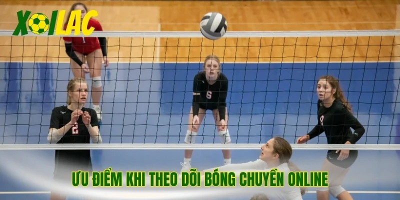 Ưu điểm khi theo dõi bóng chuyền online