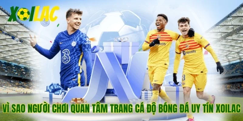 Vì sao người chơi quan tâm trang cá độ bóng đá uy tín Xoilac