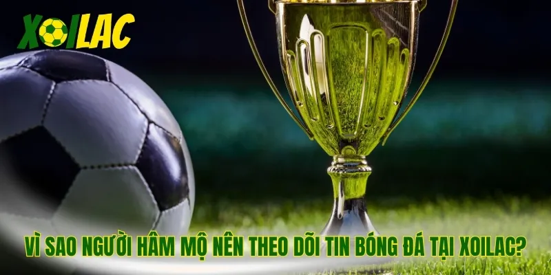 Vì sao người hâm mộ nên theo dõi tin bóng đá tại Xoilac?